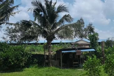 Agrilcuture Land for Sale  (2 Acres) below market