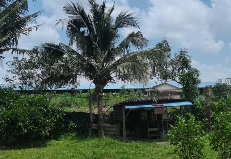 Agrilcuture Land for Sale  (2 Acres) below market