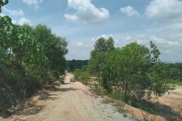 Agrilcuture Land for Sale  (2 Acres) below market