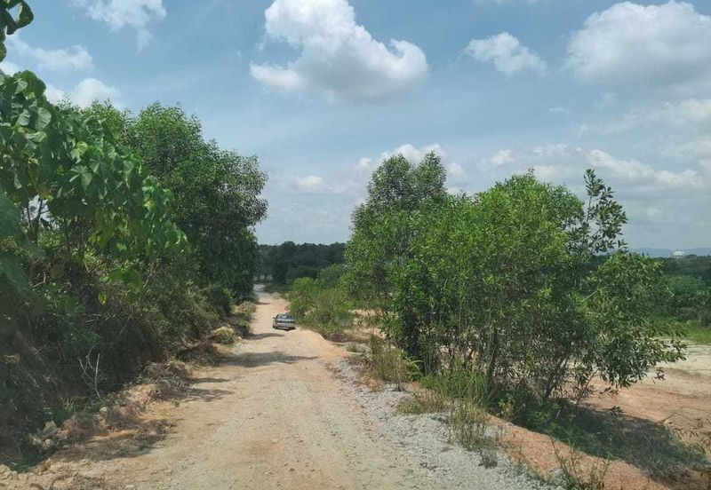 Agrilcuture Land for Sale  (2 Acres) below market