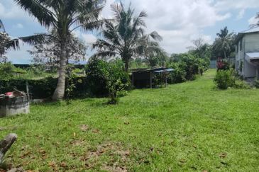 Agrilcuture Land for Sale  (2 Acres) below market