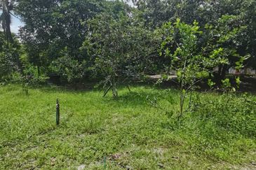 Agrilcuture Land for Sale  (2 Acres) below market