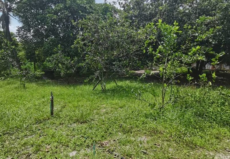 Agrilcuture Land for Sale  (2 Acres) below market