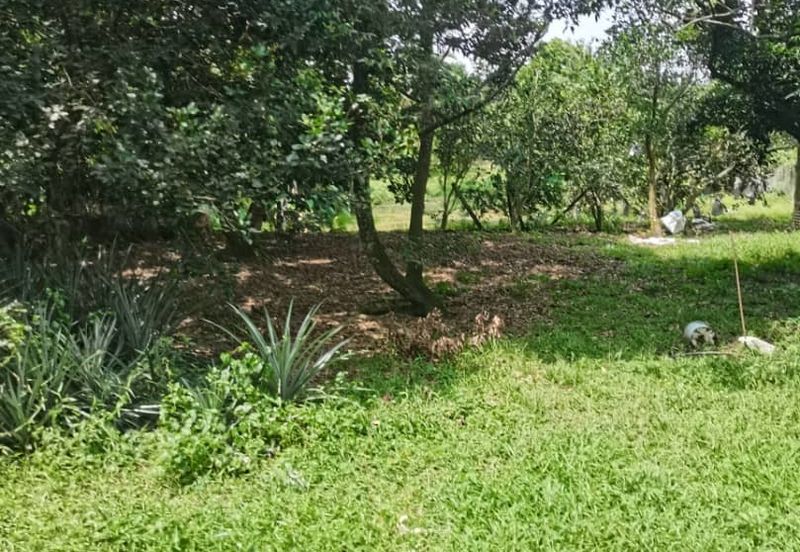 Agrilcuture Land for Sale  (2 Acres) below market