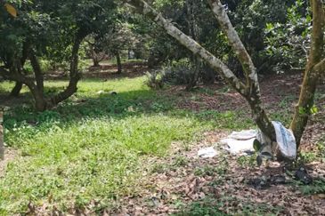 Agrilcuture Land for Sale  (2 Acres) below market