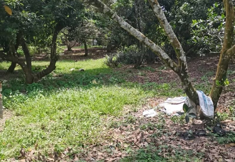 Agrilcuture Land for Sale  (2 Acres) below market