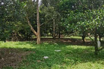 Agrilcuture Land for Sale  (2 Acres) below market