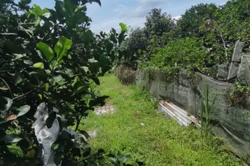 Agrilcuture Land for Sale  (2 Acres) below market