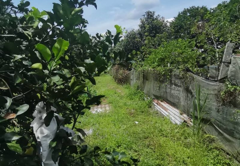 Agrilcuture Land for Sale  (2 Acres) below market