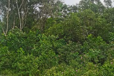 Balakong Industrial Land