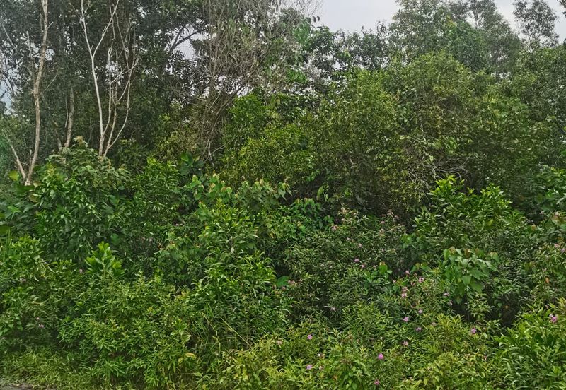 Balakong Industrial Land