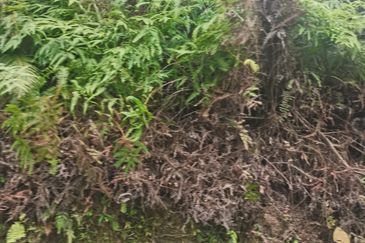 Balakong Industrial Land