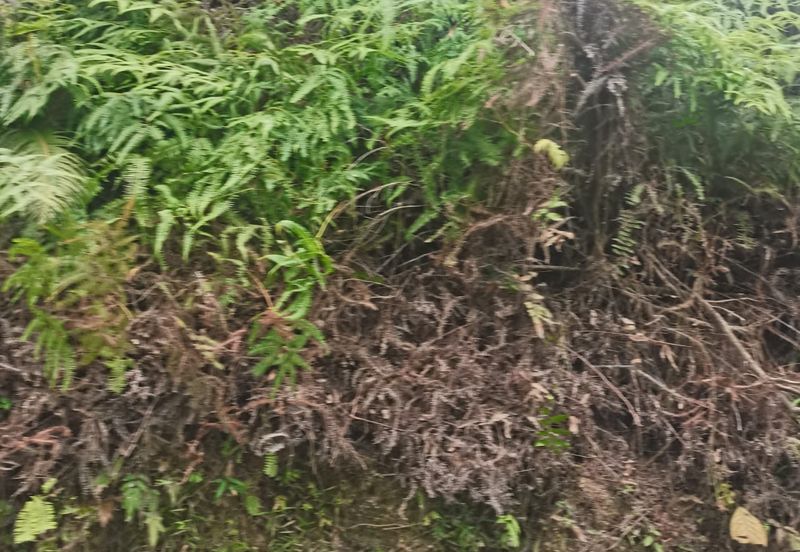 Balakong Industrial Land