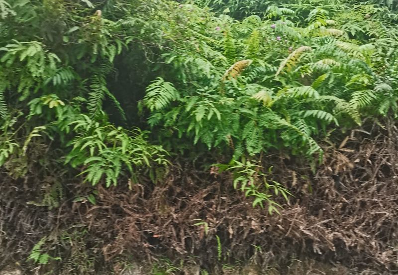 Balakong Industrial Land