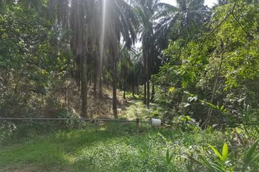 Kampung Jenderam Hulu