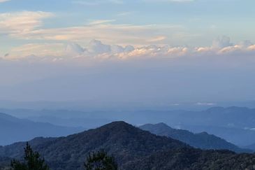 Bukit Tinggi Commercial Land for Sale