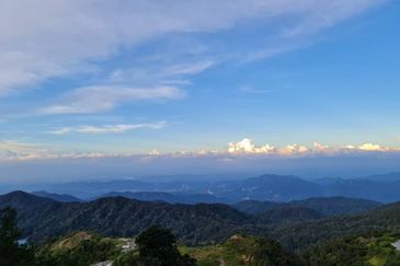 Bukit Tinggi Commercial Land for Sale