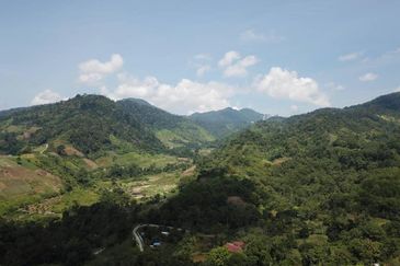 Bukit Tinggi Commercial Land for Sale