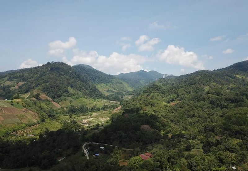 Bukit Tinggi Commercial Land for Sale