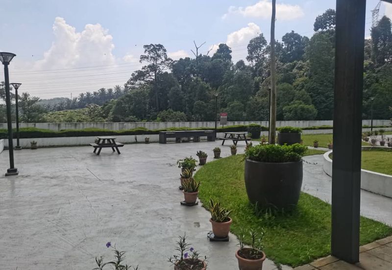 Springville Residence