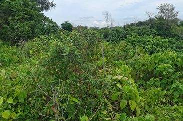 Lorong Senyum Matahari D