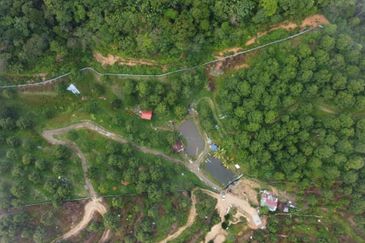 Bentong Durian Land for Sale 5.2 acres