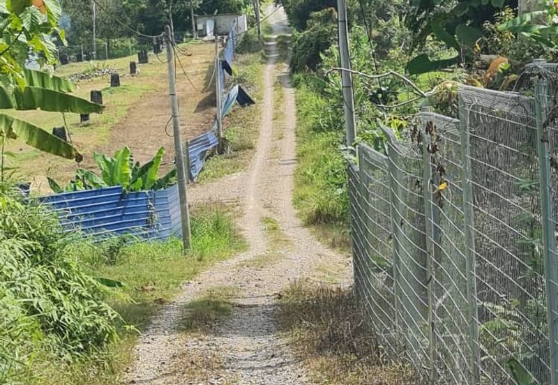 Kunyit Durian Land for Sale - 10 Acres