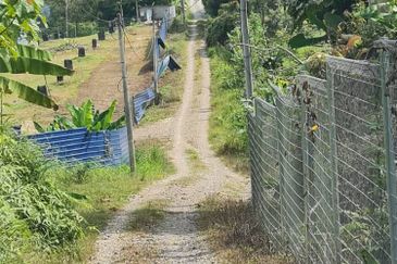 Kunyit Durian Land for Sale - 10 Acres