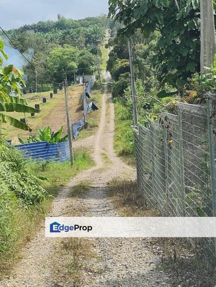 Kunyit Durian Land for Sale - 10 Acres, Pahang, Raub
