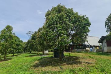 Raub Durian Land for Sale @ 4.8 Acres