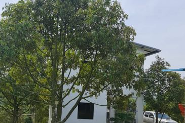 Raub Durian Land for Sale @ 4.8 Acres