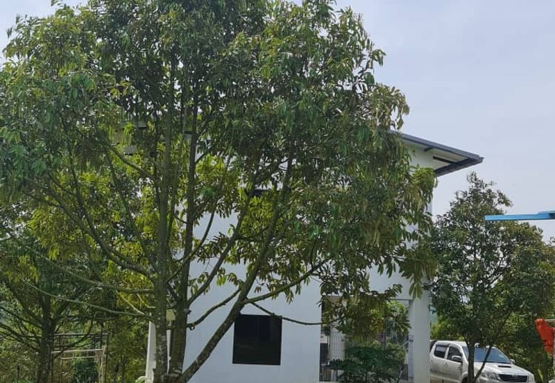 Raub Durian Land for Sale @ 4.8 Acres