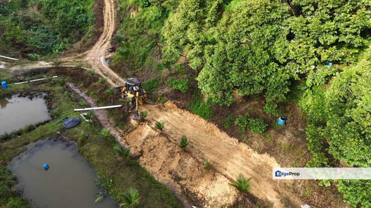 Durian Land for Sale @ Raub , Pahang, Raub