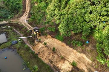 Durian Land for Sale @ Raub 