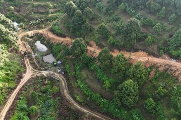 Durian Land for Sale @ Raub 