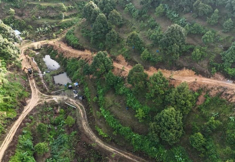 Durian Land for Sale @ Raub 