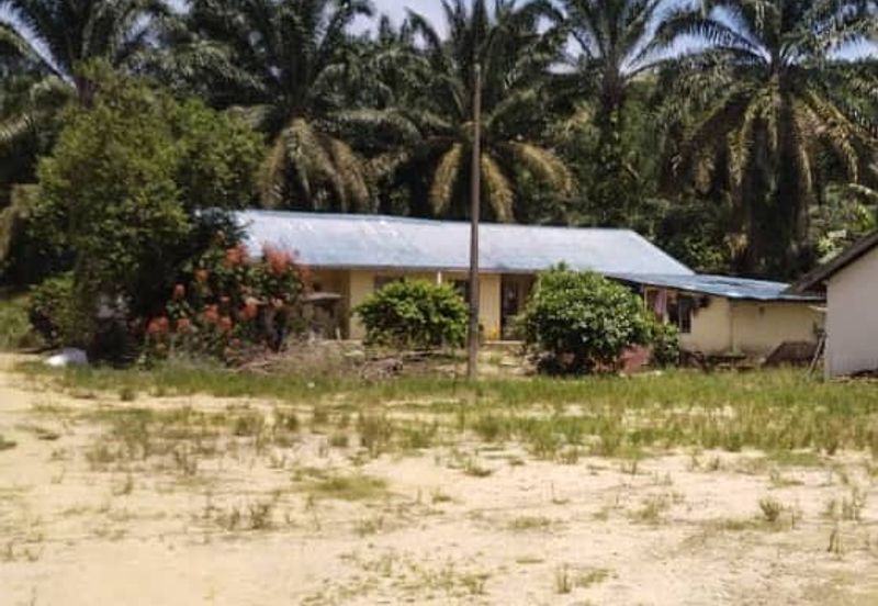 Premium Crude Palm Oil Land for sale 油棕芭出售