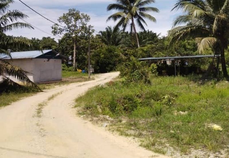 Premium Crude Palm Oil Land for sale 油棕芭出售