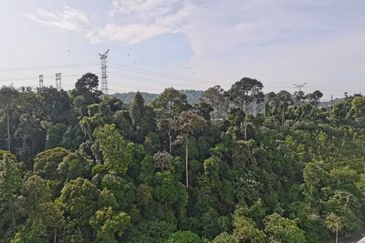 Springville Residence