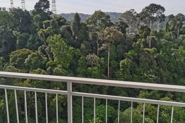 Springville Residence