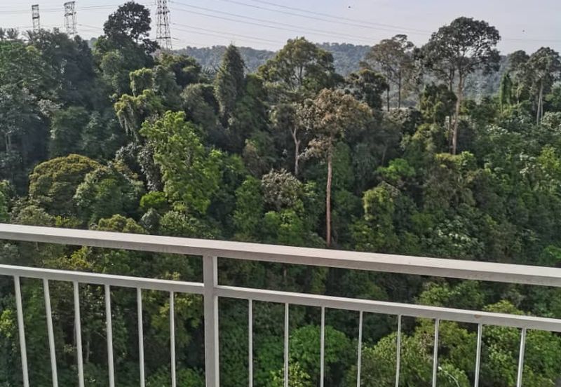 Springville Residence