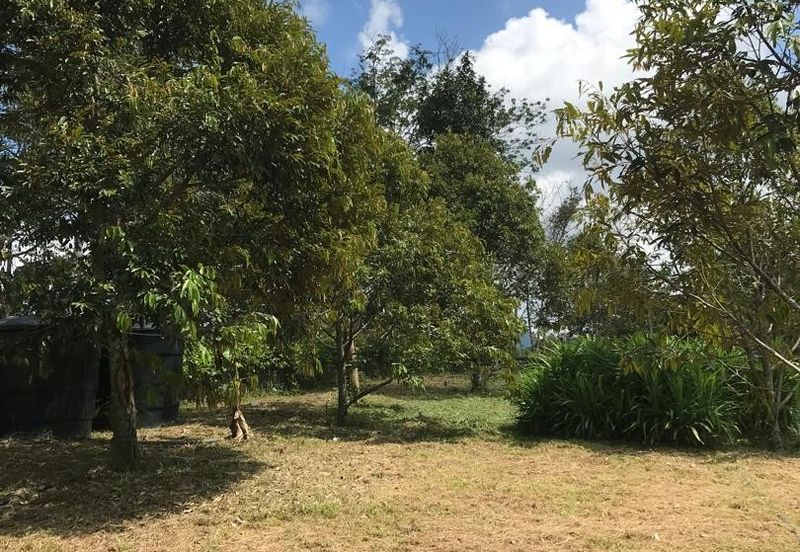 加叻榴莲地 Karak Durian Land 