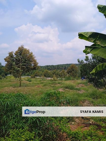 Kebun Durian Lengkap Dengan Infra @ Segamat Johor, Johor, Segamat