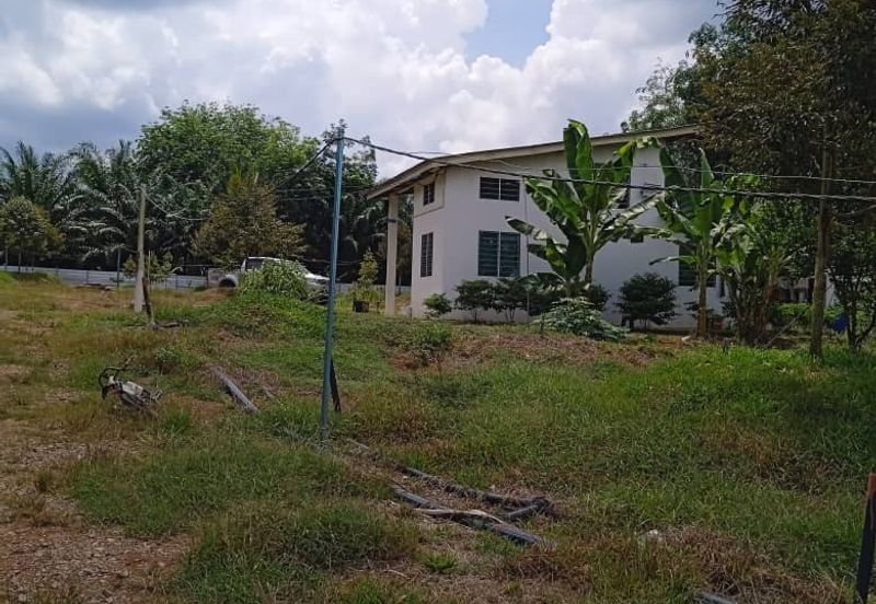 Kebun Durian Lengkap Dengan Infra @ Segamat Johor