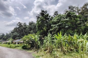 Below Market Value 2 Lots of Land @ Segambut, Kuala Lumpur 