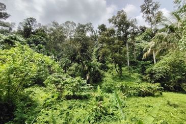 Below Market Value 2 Lots of Land @ Segambut, Kuala Lumpur 