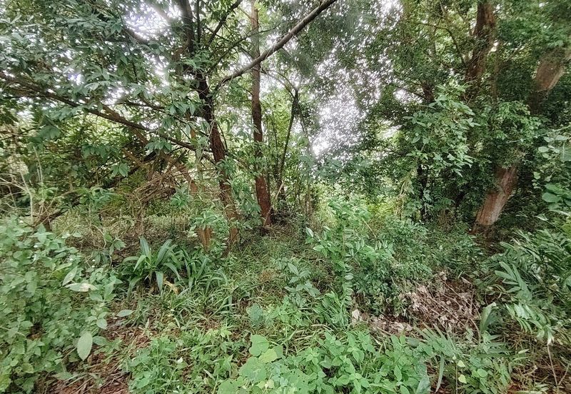 Prime Beach Front Commercial Land @ Taman Pantai Dickson, Port Dickson