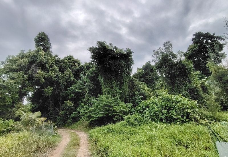 Prime Beach Front Commercial Land @ Taman Pantai Dickson, Port Dickson