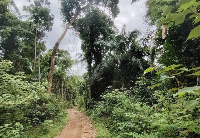 Prime Beach Front Commercial Land @ Taman Pantai Dickson, Port Dickson