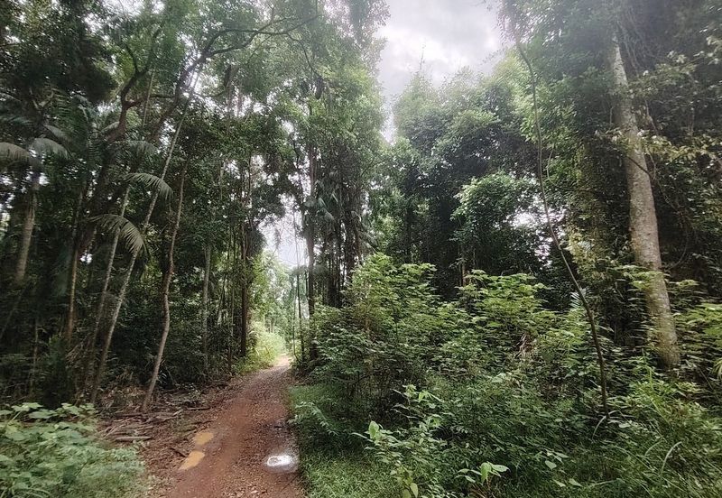 Prime Beach Front Commercial Land @ Taman Pantai Dickson, Port Dickson